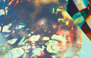 オアシス - しょも