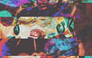 しょも兎 - しょも