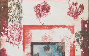 しょもカーペット - しょも