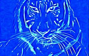 ブルータイガー - 落合浩太郎