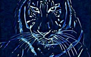 シャドウタイガー - 落合浩太郎