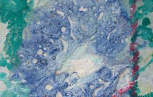 あさがお - 久保田 俊