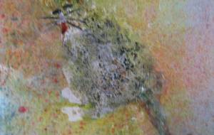 ねこ - 久保田 俊