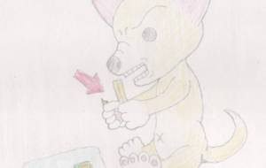 やらかした犬001 - まれびと