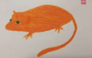 ネズミ - 森本勝利