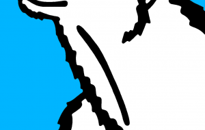 ホッキョクグマ - シマハイエナ