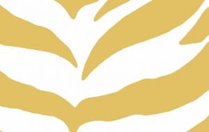 ホワイトゼブラ(模様) - シマハイエナ