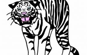 ホワイトタイガー - シマハイエナ