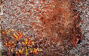 ひびわれただいち - 久保田 俊