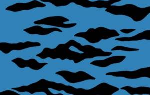 マルタタイガー(模様) - シマハイエナ