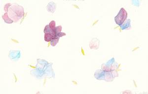 スイトピー - 草地美波