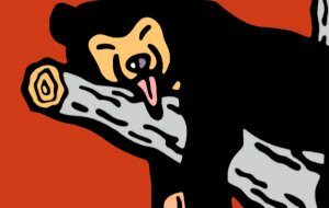 マレーグマ - シマハイエナ