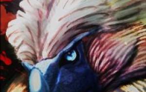 Philippine eagle - 【イベント】可能性アートプロジェクト 2022 