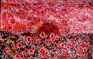 なんだかわからないはなとゆうひ - 久保田 俊