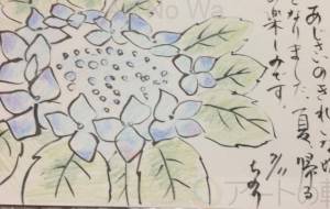 アジサイ - 森本勝利