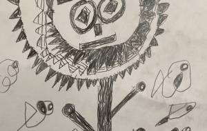 花君 - 笹谷正博