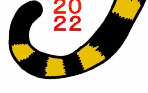 キナコモチコ　寅２ - 【イベント】2022年寅年年賀状ネットスクウェア×障がい者アート協会デザインコンテスト 