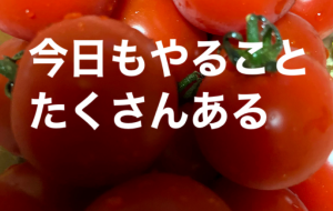 やることたくさんある - 笹谷正博