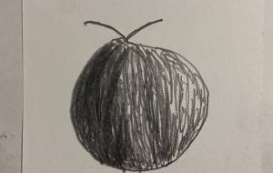 デッサン初心者 - 笹谷正博