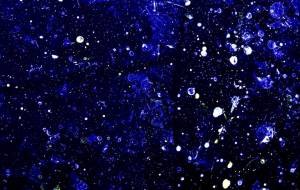 GALAXY HUMAN ART - THE INAZUMA to HEART