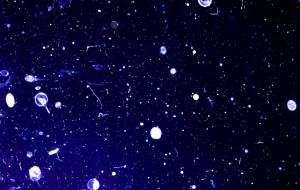 EARTH - THE INAZUMA to HEART