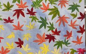 紅葉 - 平野 沙晃(サテラ)