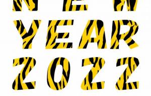 年賀状 - 【イベント】2022年寅年年賀状ネットスクウェア×障がい者アート協会デザインコンテスト 