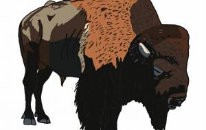 スティンガー(アメリカバイソン) - YU