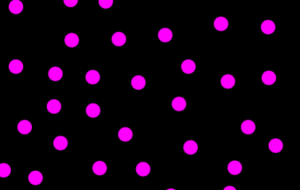 水玉模様 - 笹谷正博