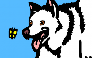 紀州犬 - シマハイエナ