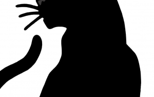 黒ヒョウ - シマハイエナ