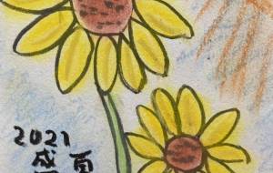ひまわり - さしもぐさ