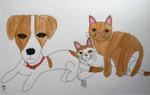 犬と猫 - 【イベント】可能性アートプロジェクト 2022