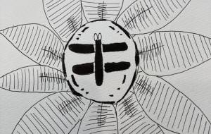 秋は近づいてきている - 星瑞紅