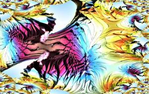 鳥の中の鳥 - 太陽