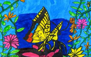 キイロアゲハ - 田中郷