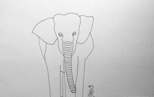 象 - 【イベント】可能性アートプロジェクト 2022