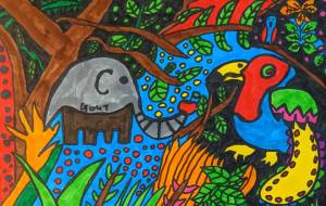 Tropical rain forest - 田中郷