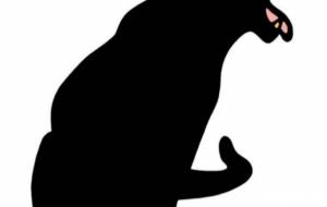 黒ヒョウ - シマハイエナ