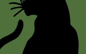 黒ヒョウ - シマハイエナ