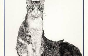 なかよし - 山田貴裕