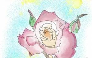 日々のイラスト - 京扇