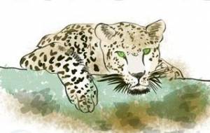 日々のイラスト - 京扇