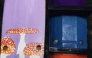 キノコの森 - 京扇