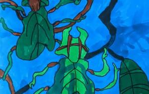 コノハムシ - 田中郷