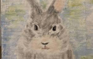 うさぎなきもち - Kyo.