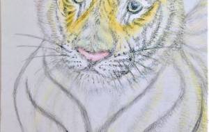 トラ - 【イベント】2022年寅年年賀状ネットスクウェア×障がい者アート協会デザインコンテスト