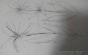 abstract flower - 情報資格試験