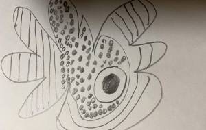 新生物サハヤ - 笹谷正博