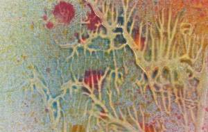 骨木 - 久保田 俊